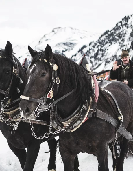 Kutschenfahrt bei der Lech Lodge © JK Lodge GmbH