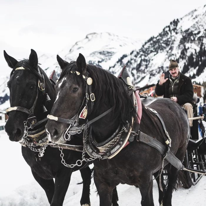 Kutschenfahrt bei der Lech Lodge © JK Lodge GmbH