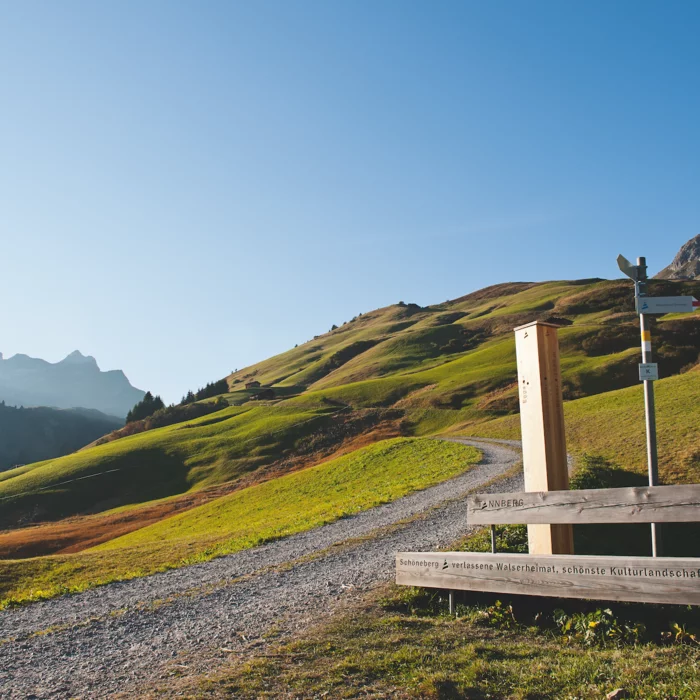 Landschaft Tannberg im Sommer © JK Lodge GmbH