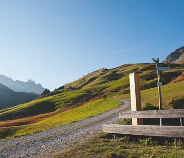 Landschaft Tannberg im Sommer © JK Lodge GmbH