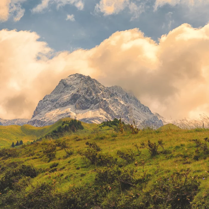 Gruene Wiese am Arlberg im Fruehling © JK Lodge GmbH