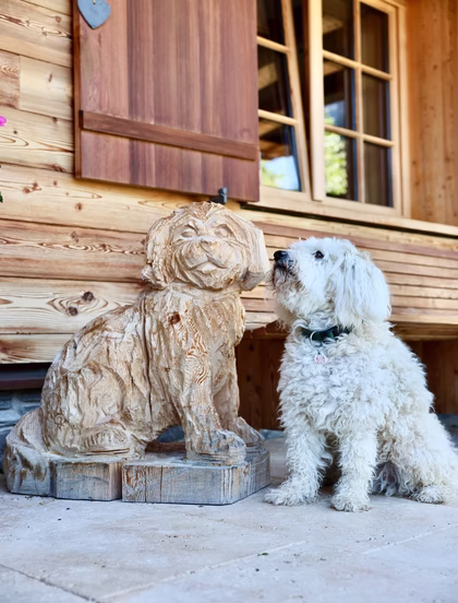 Hunde in der Lech Lodge