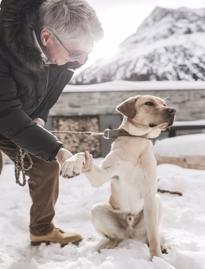 Hunde in der Lech Lodge