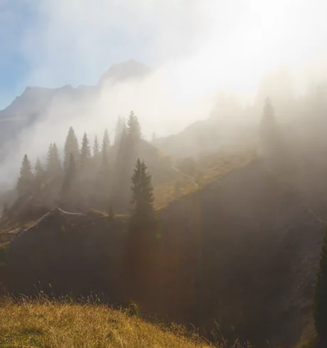 Nebelschwaden im Fruehjahr am Arlberg © JK Lodge GmbH