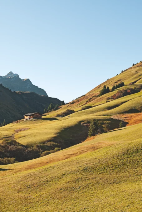 Almwiesen am Arlberg im Sommer © JK Lodge GmbH