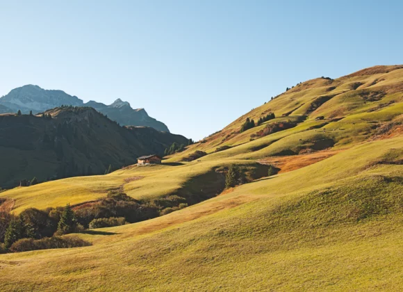 Almwiesen am Arlberg im Sommer © JK Lodge GmbH